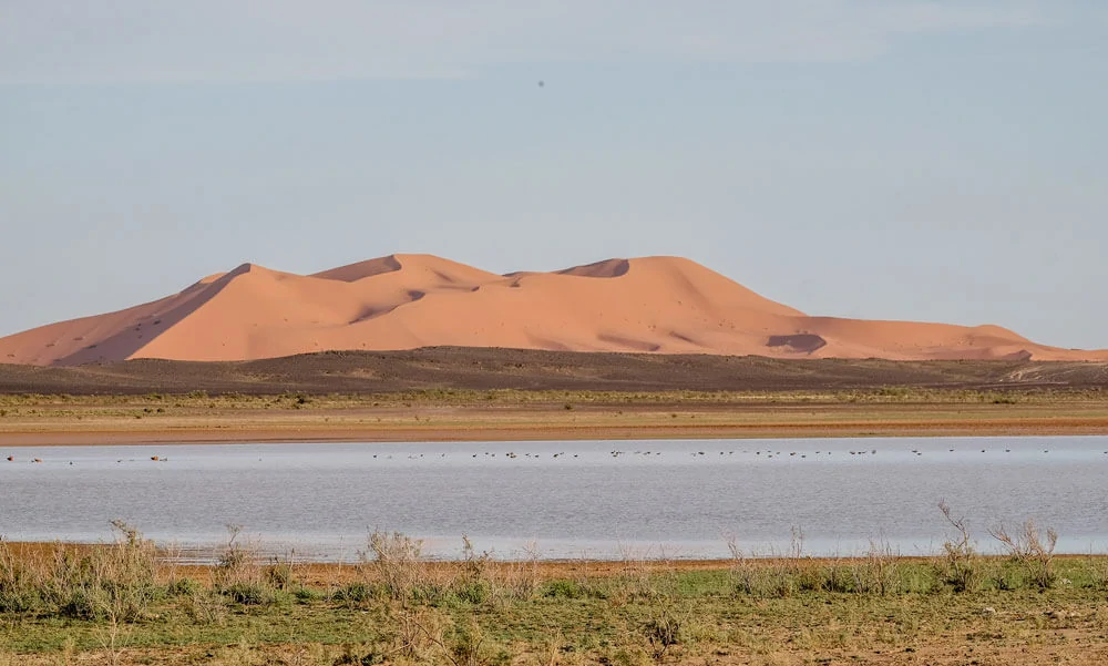 Morocco guided motorcycle tour. Experience the best places of morocco on motorbike